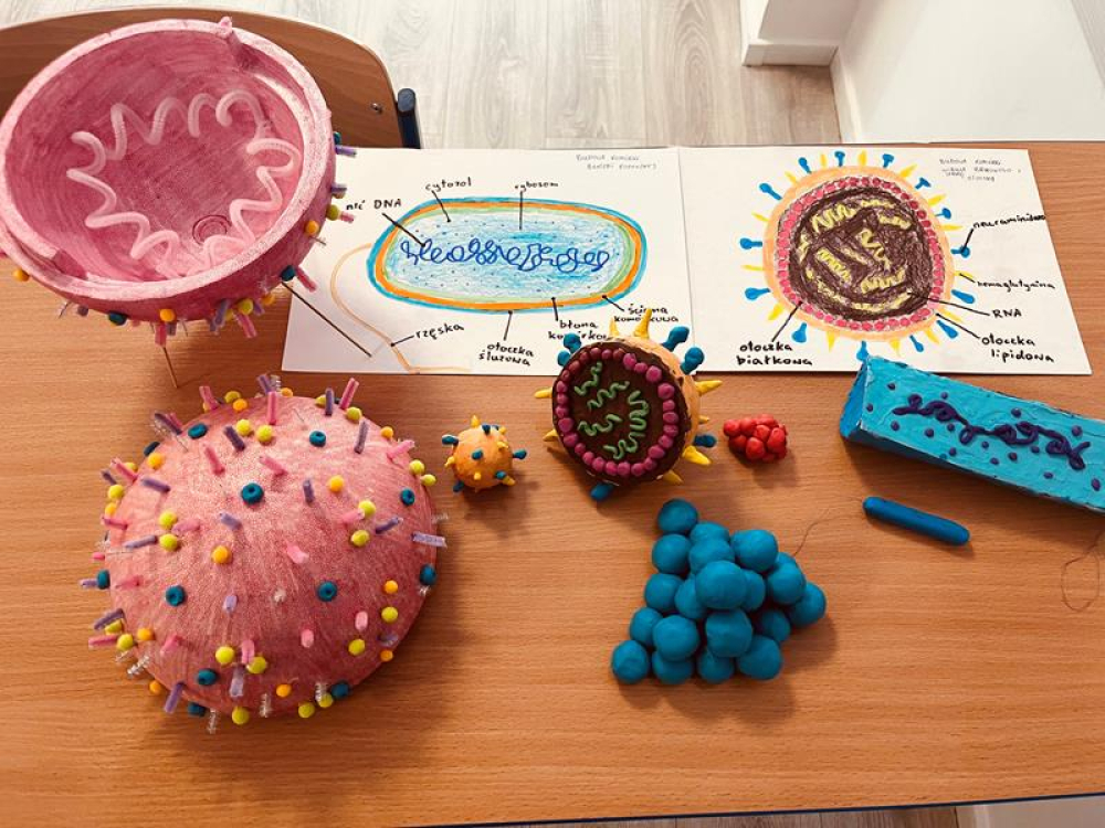 Model 3D Viruses and bacteria